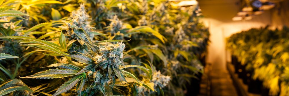 shutterstock_359713784