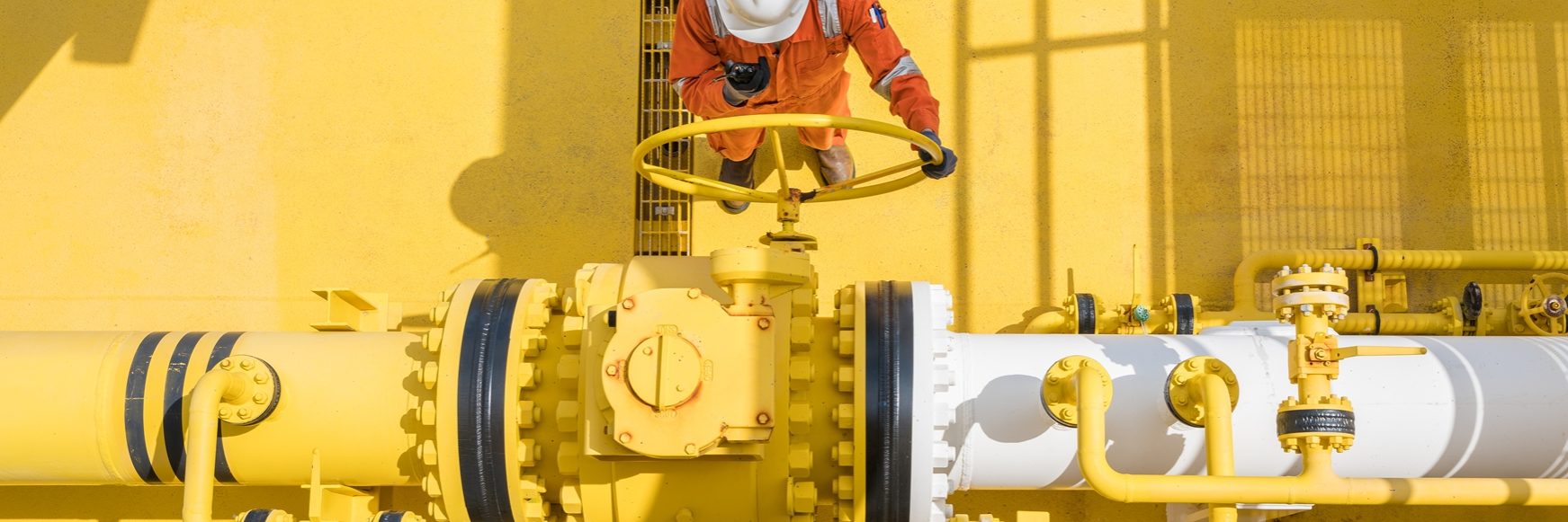 shutterstock_796288390