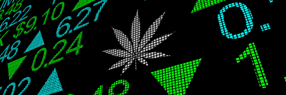 shutterstock_1387048082