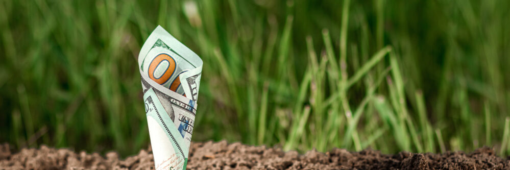 The,Concept,Of,Passive,Income,,Dividends,,Investments,,Bank,Deposits.,American