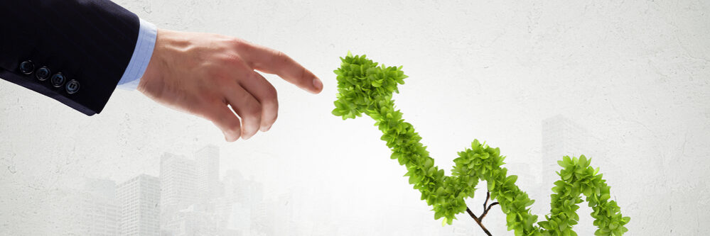 Plant,In,Pot,Shaped,Like,Graph.,Wealth,Concept