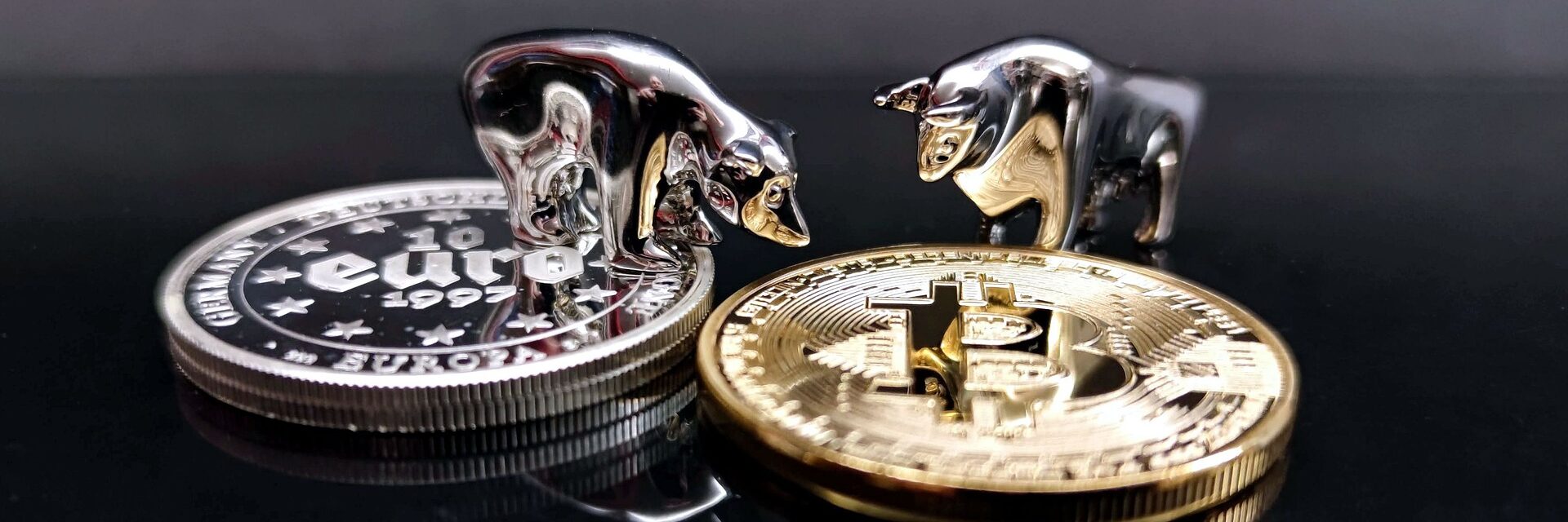 bull-gd70856f17_1920