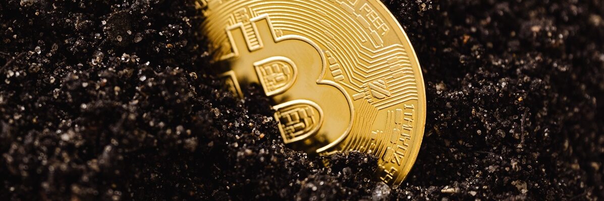 pexels-karolina-grabowska-5980917