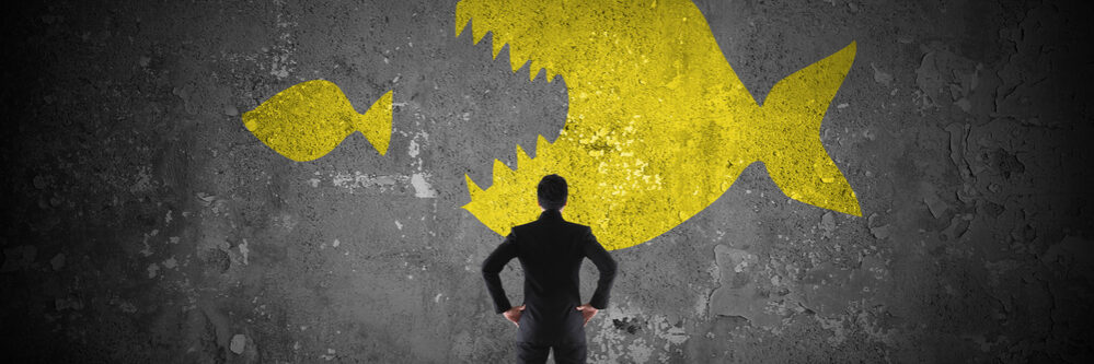 Big,Fish,Eating,Little,Fish